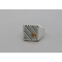 Chevalière argent personnalisable 14 x 14 mm